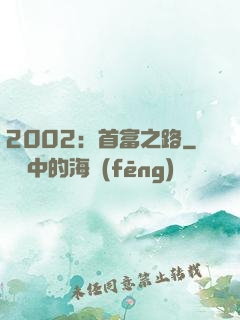 2002：首富之路