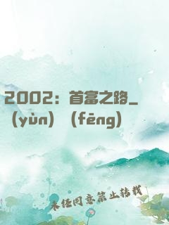 2002：首富之路