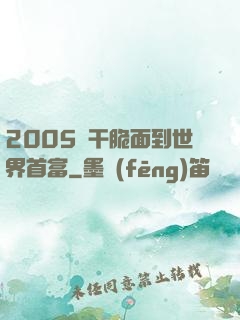 2005從干脆面到世界首富