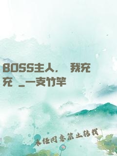 BOSS主人，幫我充充電