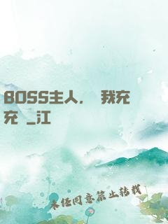 BOSS主人，幫我充充電