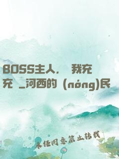 BOSS主人，幫我充充電