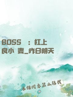 BOSS來襲：杠上無良小嬌妻