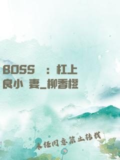 BOSS來襲：杠上無良小嬌妻