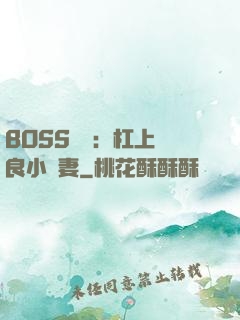 BOSS來襲：杠上無良小嬌妻