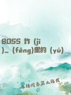 BOSS轟炸機(jī)
