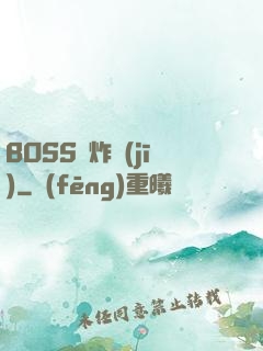 BOSS轟炸機(jī)