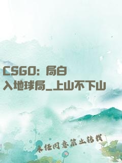 CSGO:開局白銀誤入地球局