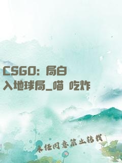 CSGO:開局白銀誤入地球局