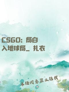 CSGO:開局白銀誤入地球局