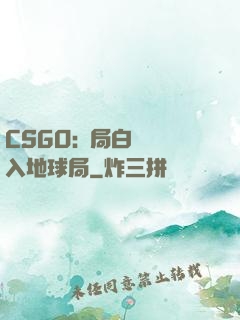 CSGO:開局白銀誤入地球局