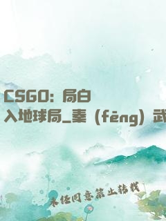 CSGO:開局白銀誤入地球局