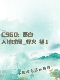 CSGO:開局白銀誤入地球局