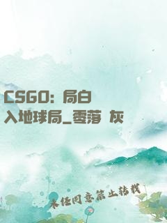 CSGO:開局白銀誤入地球局