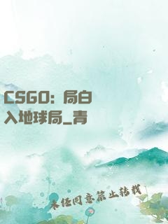 CSGO:開局白銀誤入地球局