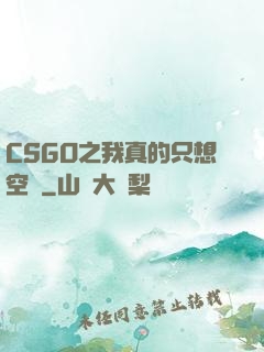 CSGO之我真的只想空槍