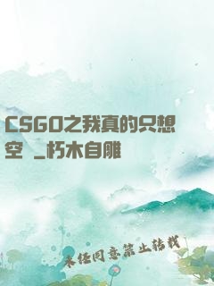 CSGO之我真的只想空槍
