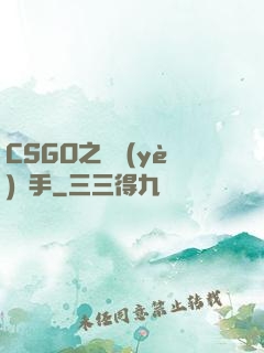CSGO之職業(yè)選手