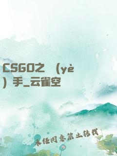 CSGO之職業(yè)選手