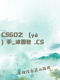CSGO之職業(yè)選手