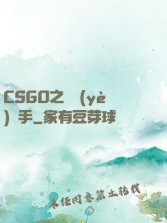 CSGO之職業(yè)選手