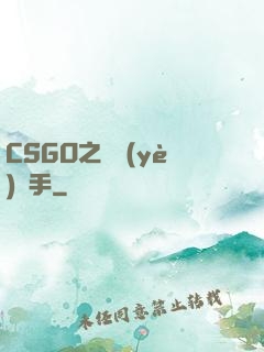 CSGO之職業(yè)選手