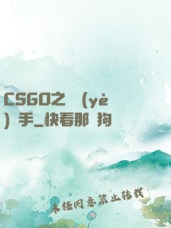 CSGO之職業(yè)選手