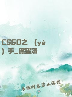 CSGO之職業(yè)選手