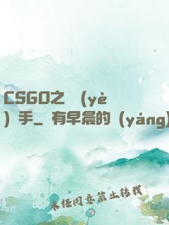 CSGO之職業(yè)選手