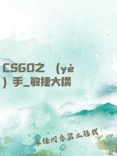 CSGO之職業(yè)選手