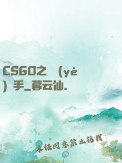 CSGO之職業(yè)選手