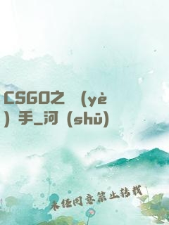 CSGO之職業(yè)選手