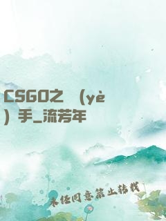 CSGO之職業(yè)選手