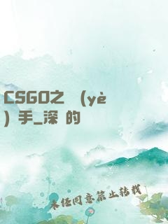 CSGO之職業(yè)選手