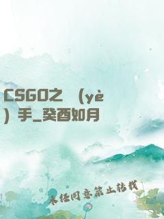 CSGO之職業(yè)選手