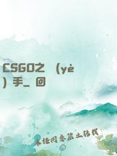 CSGO之職業(yè)選手