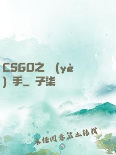CSGO之職業(yè)選手
