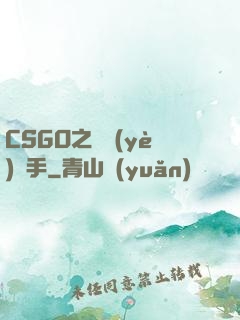 CSGO之職業(yè)選手