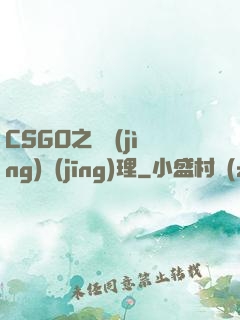 CSGO之電競(jìng)經(jīng)理