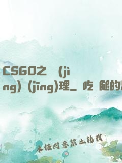 CSGO之電競(jìng)經(jīng)理