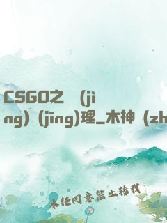 CSGO之電競(jìng)經(jīng)理
