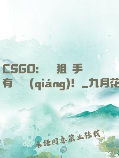 CSGO：這個狙擊手有億點強(qiáng)！