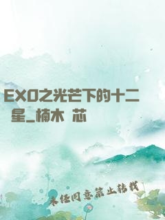 EXO之光芒下的十二顆星