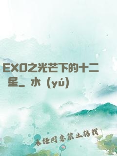 EXO之光芒下的十二顆星