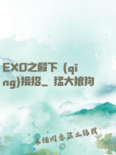 EXO之殿下請(qǐng)接招