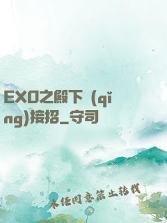 EXO之殿下請(qǐng)接招