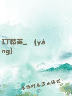 IT精英