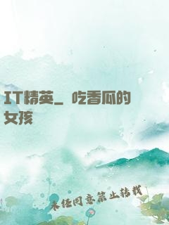 IT精英
