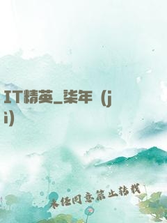 IT精英