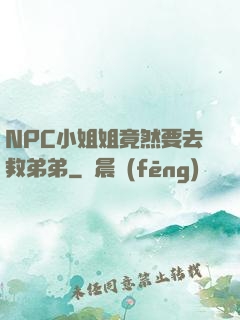 NPC小姐姐竟然要去救弟弟